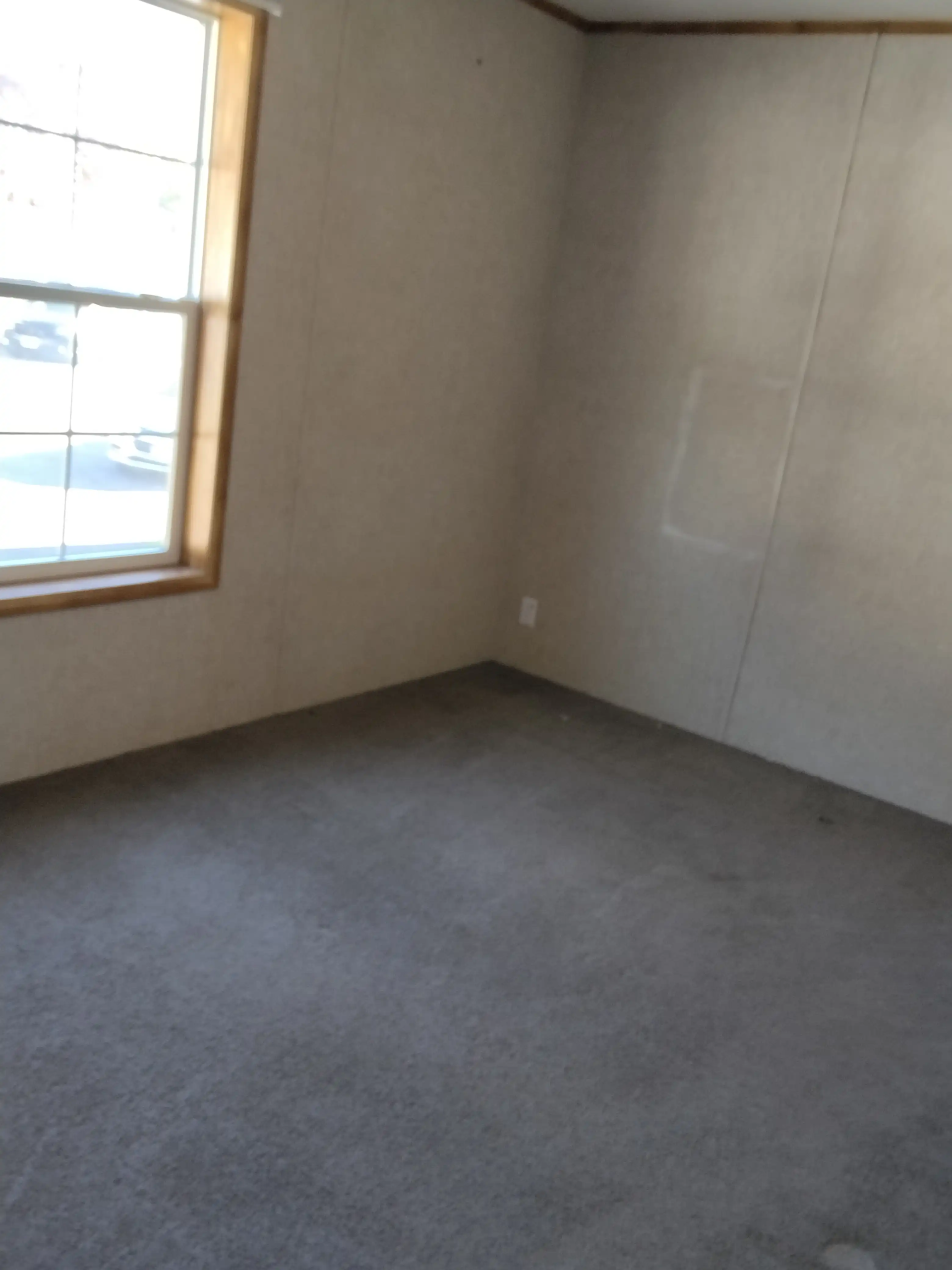 IMG_20251009_095654490