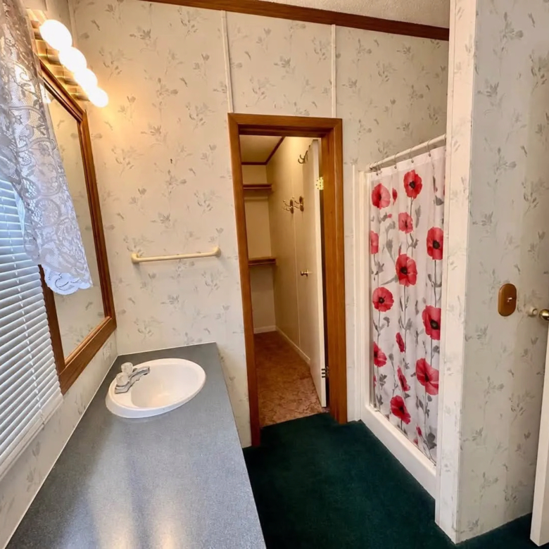 3/2 Palm Harbor #507 – Mt. Morris, MI