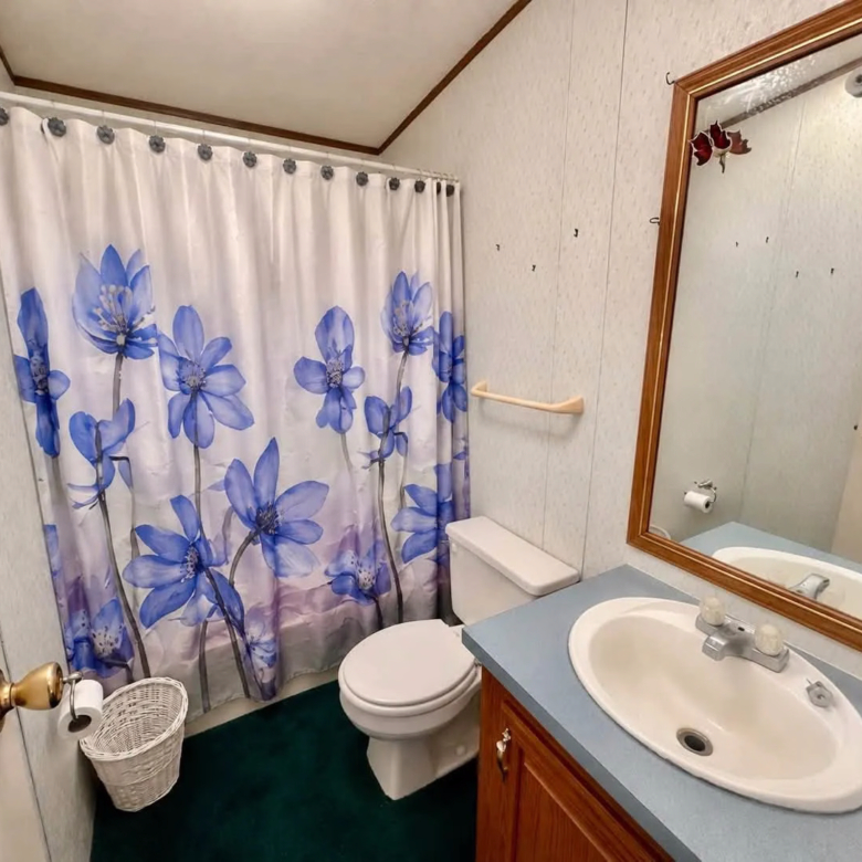 3/2 Palm Harbor #507 – Mt. Morris, MI